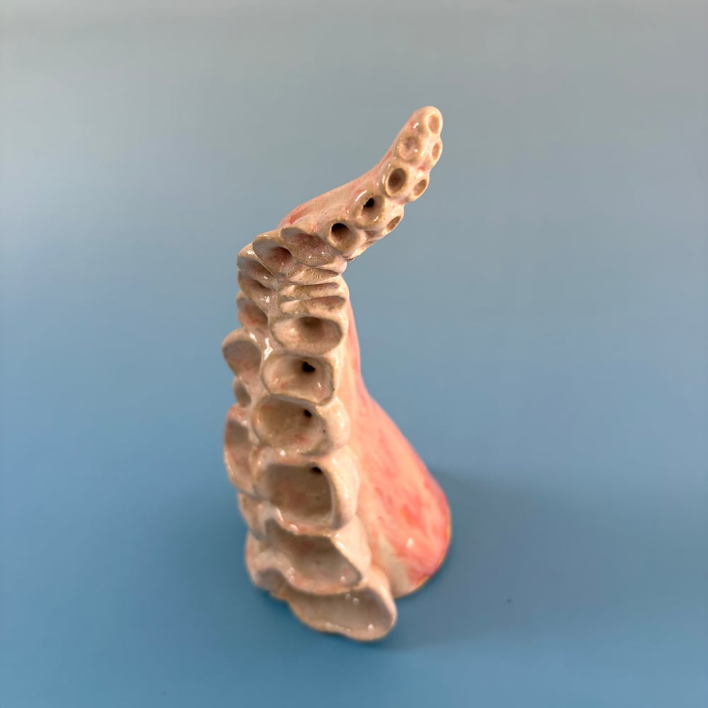 Image of Pink Cloud Tentacle 