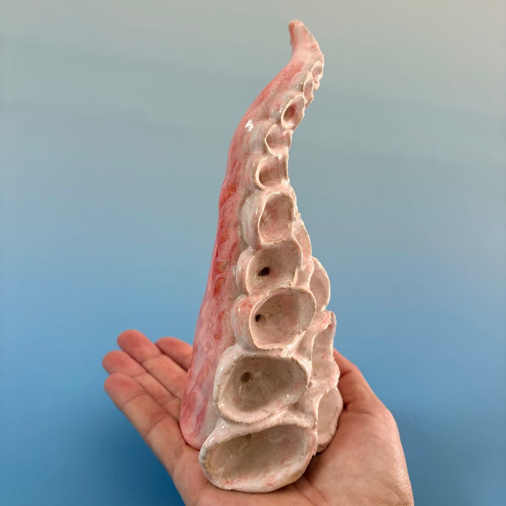 Image of Pink Cloud Tentacle 