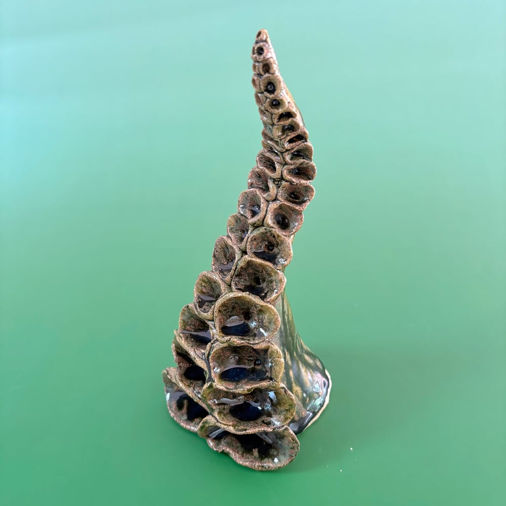 Image of Midnight Tentacle 