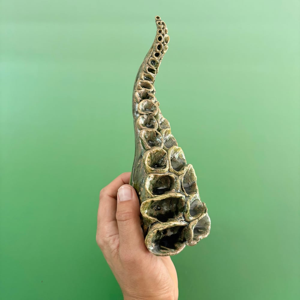 Image of Midnight Tentacle 