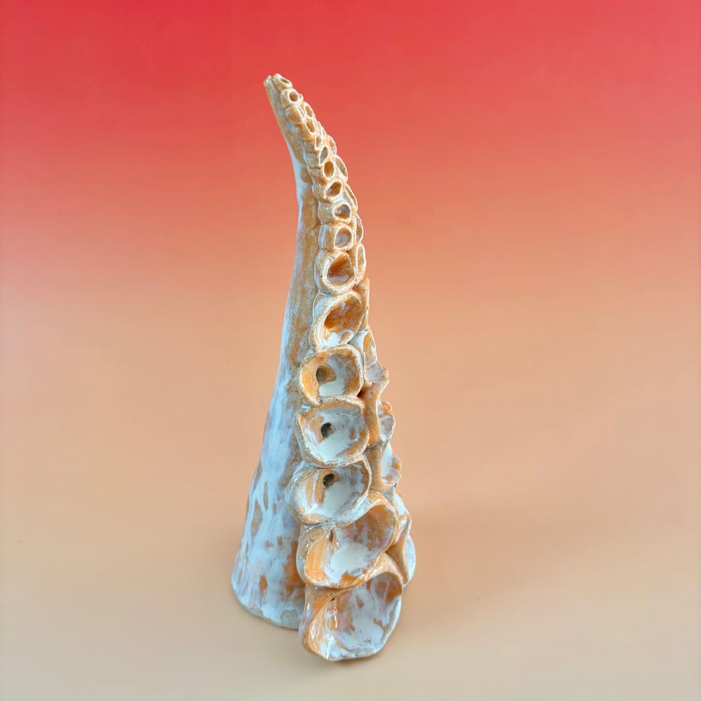 Image of Sunrise Tentacle 