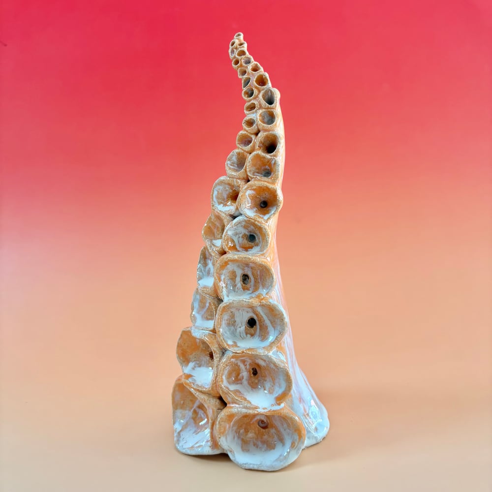 Image of Sunrise Tentacle 