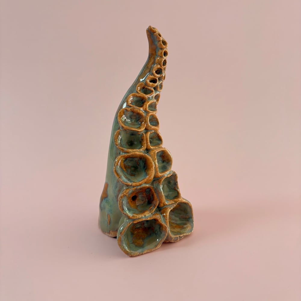 Image of Rockpool Tentacle 