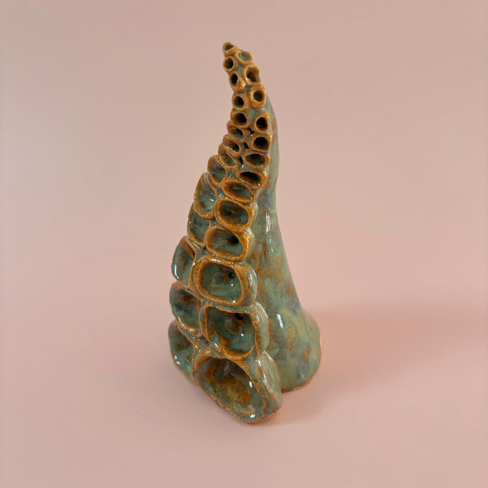 Image of Rockpool Tentacle 