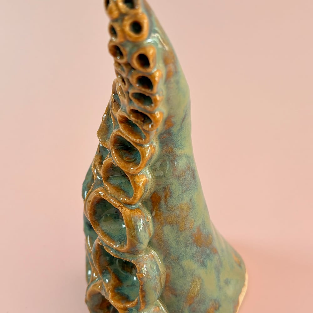Image of Rockpool Tentacle 