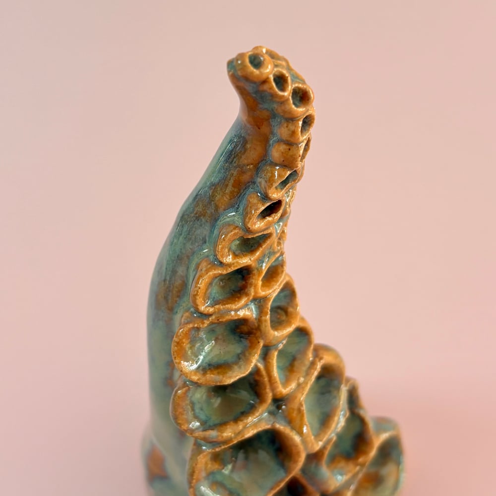 Image of Rockpool Tentacle 