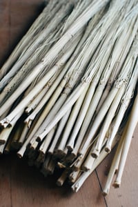Image 2 of Craft broomcorn with stalks for broom making