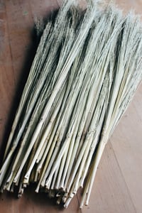Image 1 of Craft broomcorn with stalks for broom making