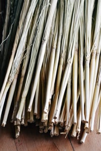 Image 3 of Craft broomcorn with stalks for broom making