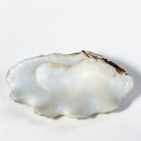 Image 7 of Vide-poche grand  coquillage Tridacne "bénitier"  naturel des années 70 - Porte savon