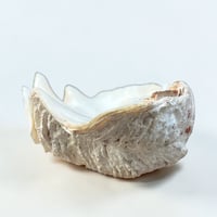 Image 10 of Vide-poche grand  coquillage Tridacne "bénitier"  naturel des années 70 - Porte savon