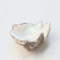 Image 9 of Vide-poche grand  coquillage Tridacne "bénitier"  naturel des années 70 - Porte savon