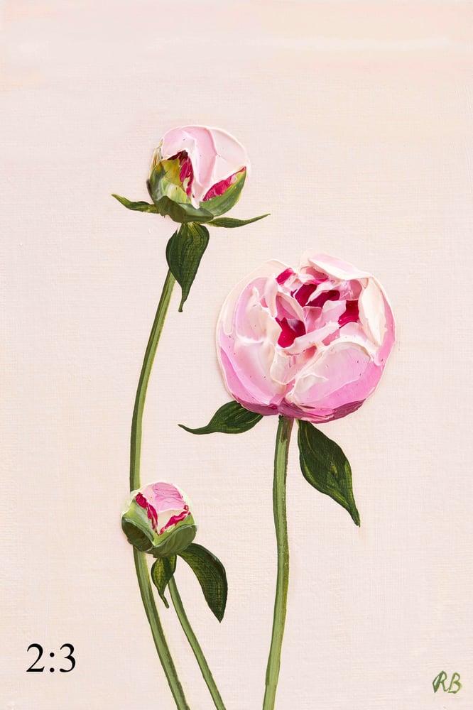 Image of Sarah Bernhardt Peony Giclée Print
