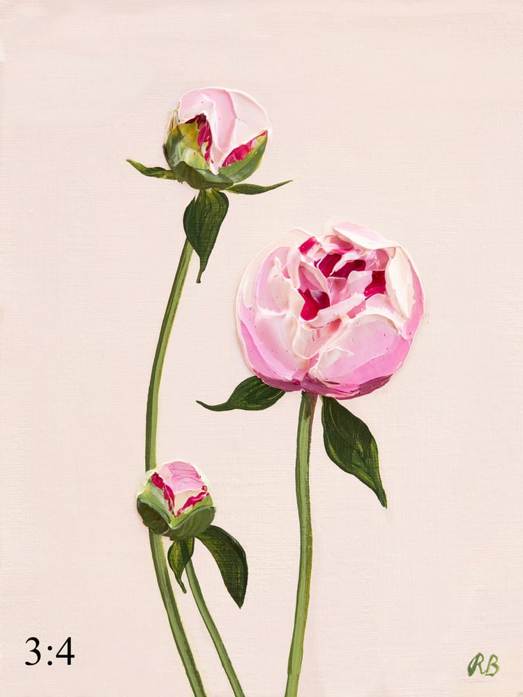 Image of Sarah Bernhardt Peony Giclée Print