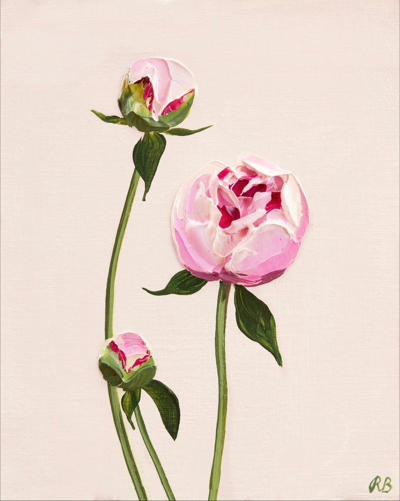 Image of Sarah Bernhardt Peony Giclée Print