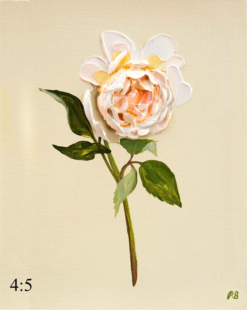 Image of Claire Austen Rose Giclée Print