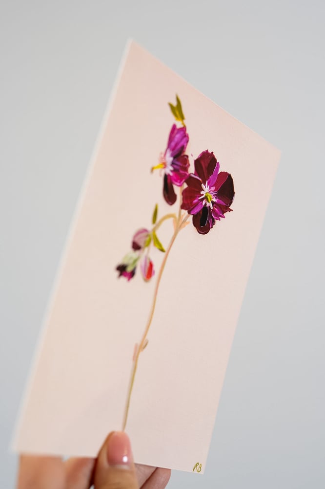 Image of Geranium Samabor  Giclée Print