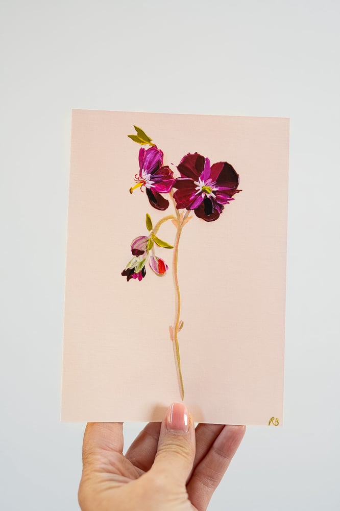 Image of Geranium Samabor  Giclée Print