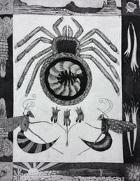 Parasite