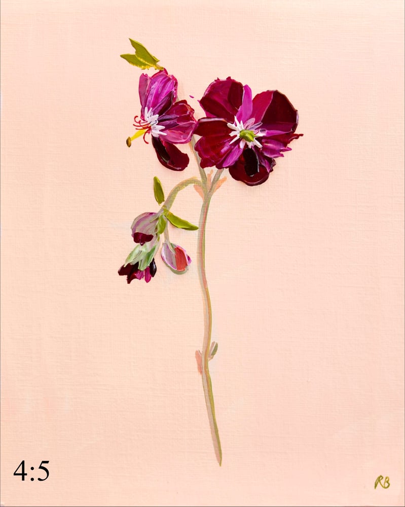 Image of Geranium Samabor  Giclée Print