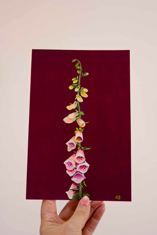 Image of Suttons Apricot Foxglove Giclée Print