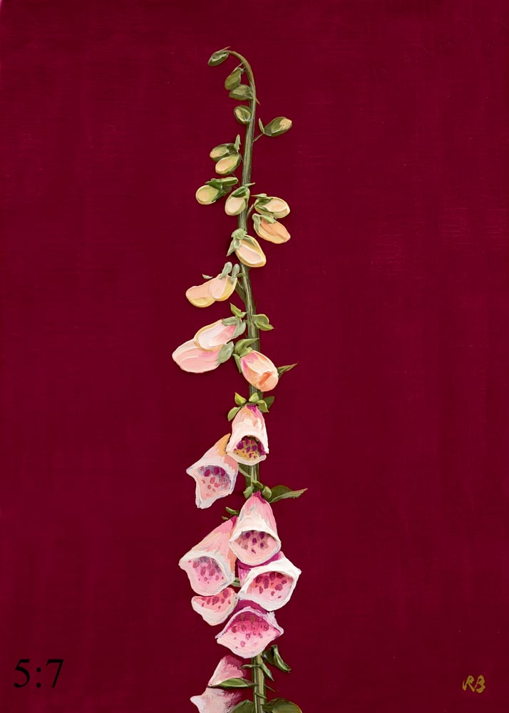 Image of Suttons Apricot Foxglove Giclée Print