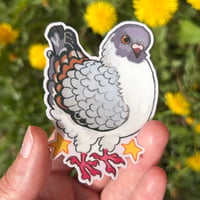 Image 1 of modena pigeon sticker