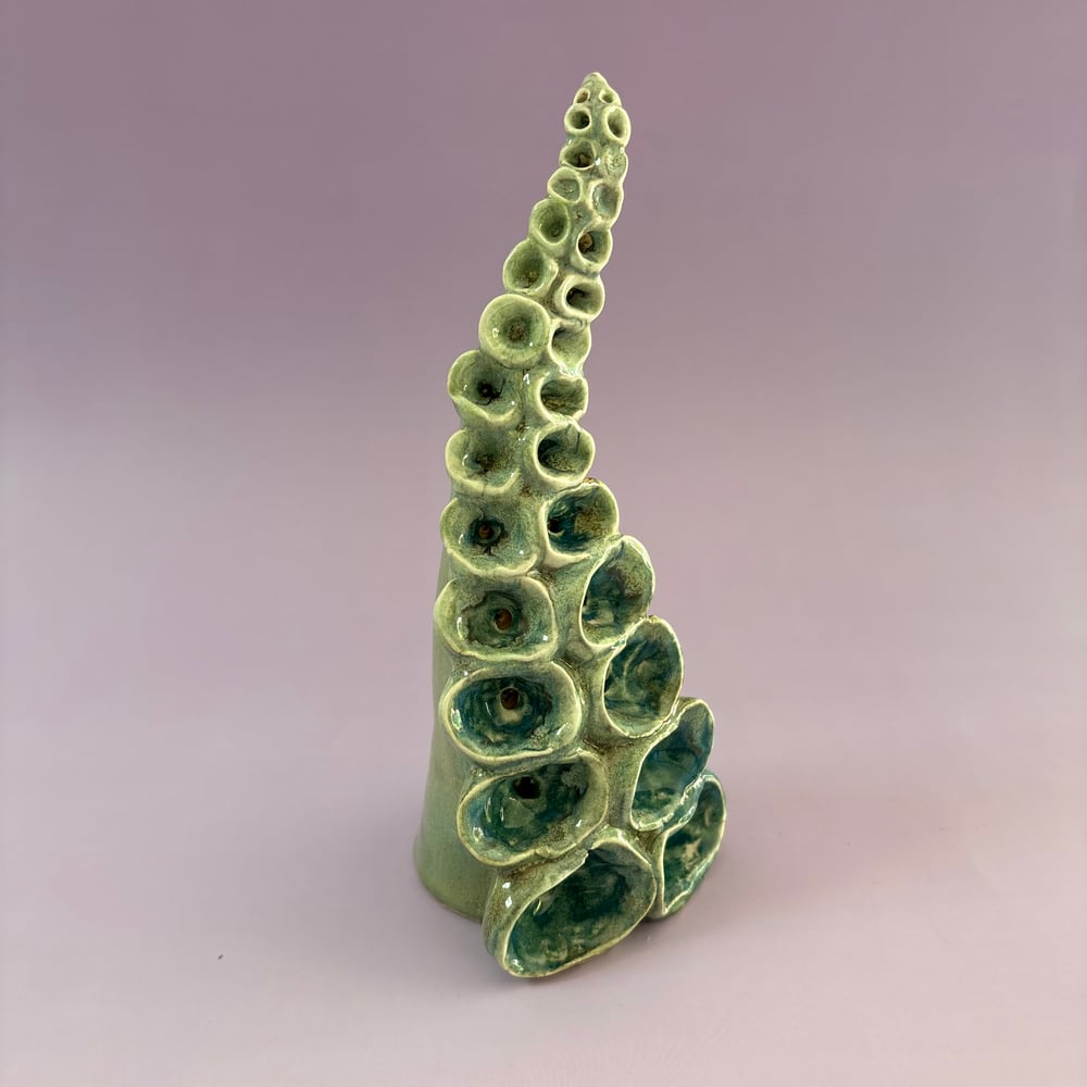 Image of Tidal Tentacle 