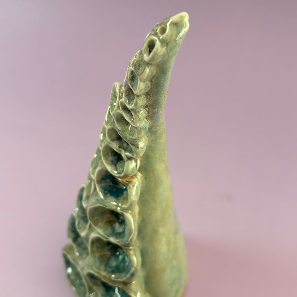 Image of Tidal Tentacle 