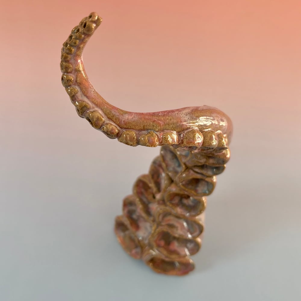 Image of Kraken Tentacle 