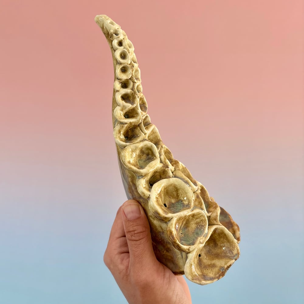 Image of Prehistoric Tentacle 
