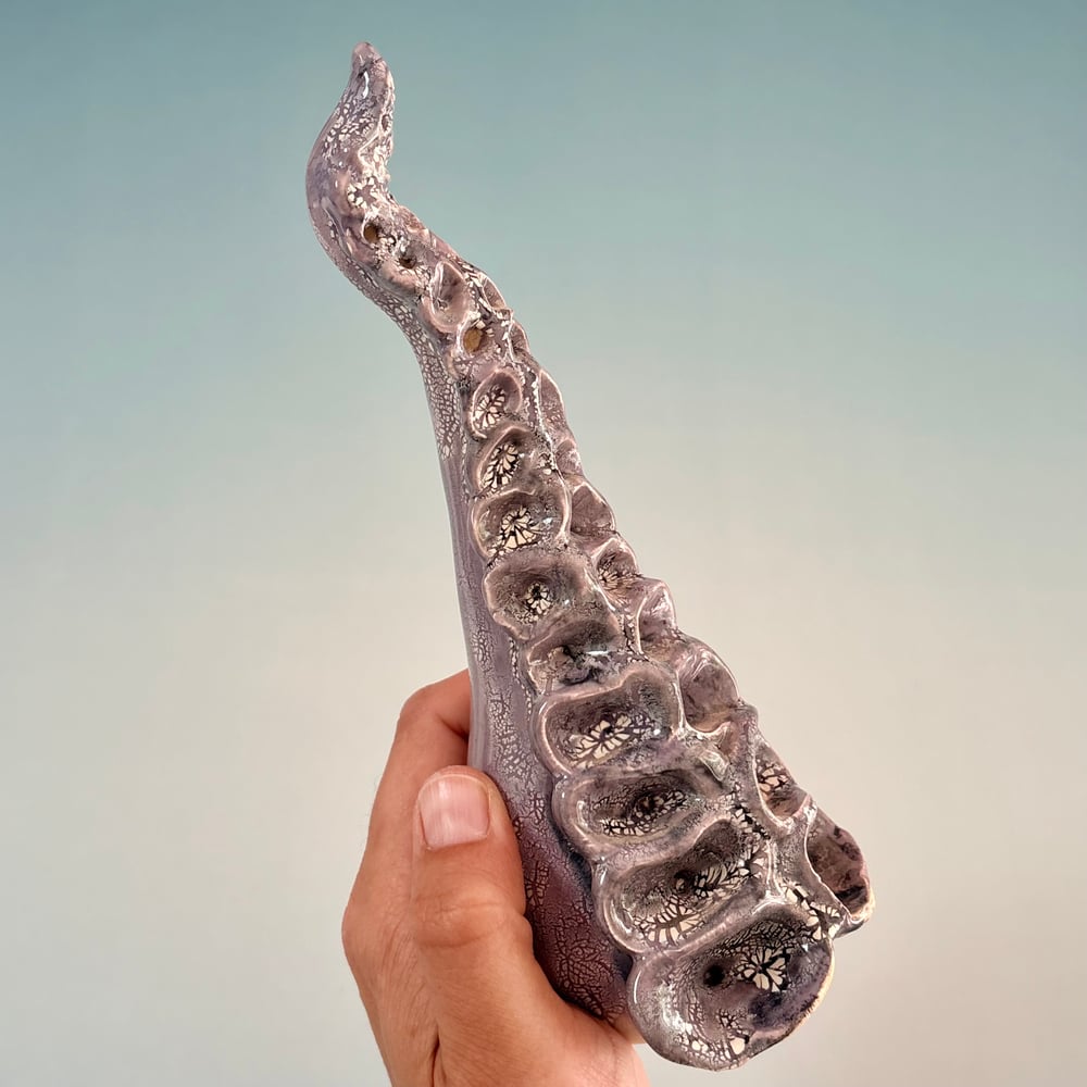 Image of Ursula Tentacle 