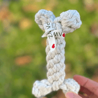 Image 1 of White Rope Bone Toy