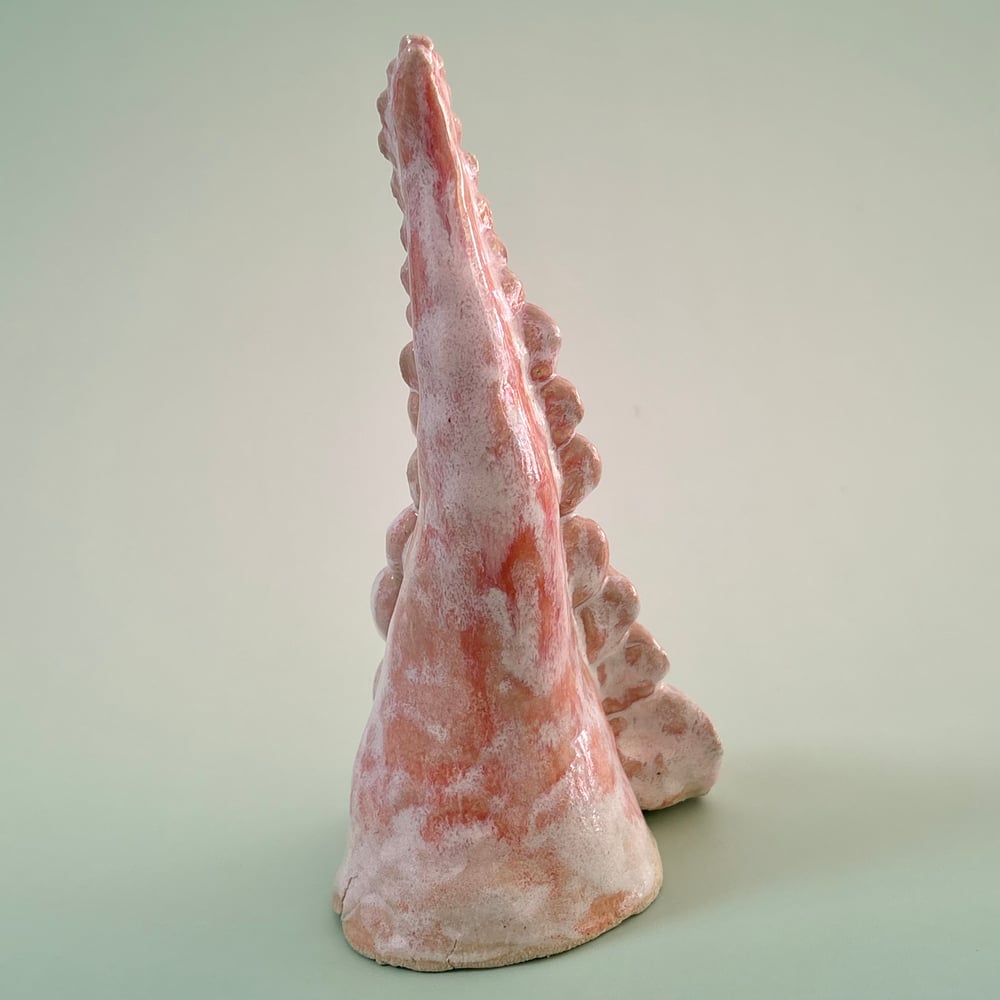 Image of Rose Tentacle 