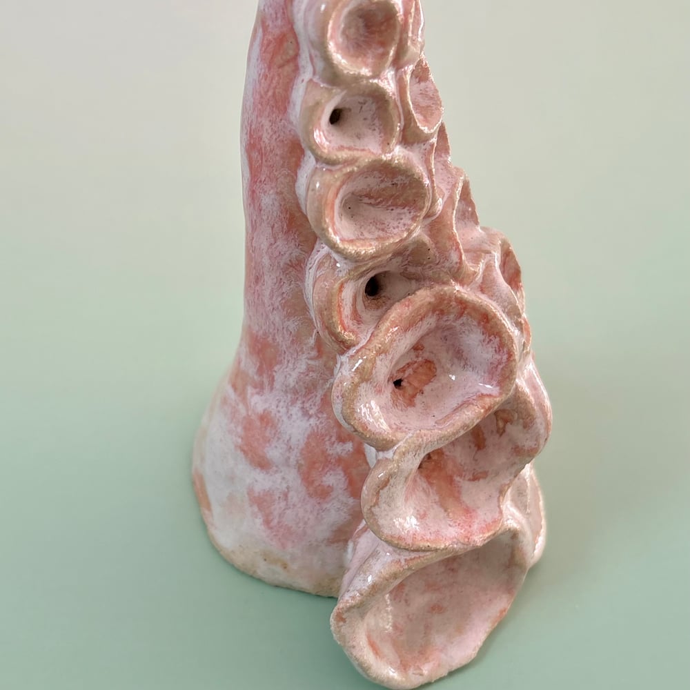 Image of Rose Tentacle 