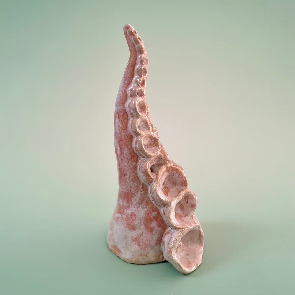 Image of Rose Tentacle 