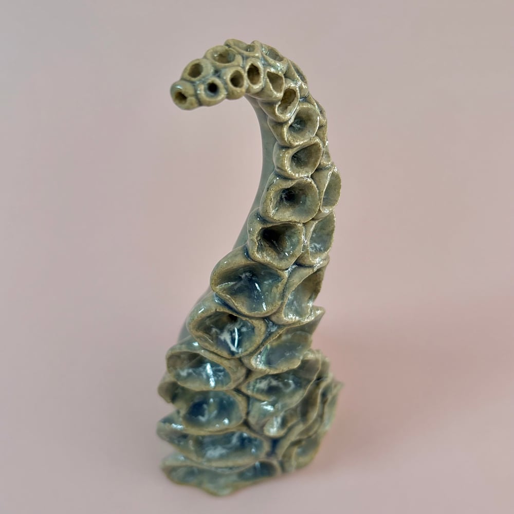 Image of Monsoon Tentacle 