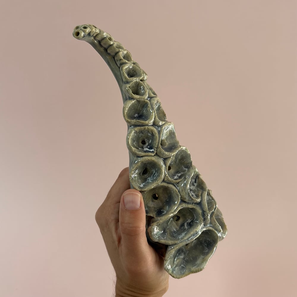Image of Monsoon Tentacle 