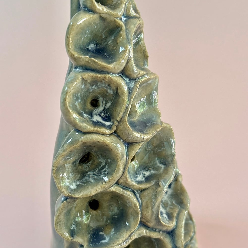 Image of Monsoon Tentacle 