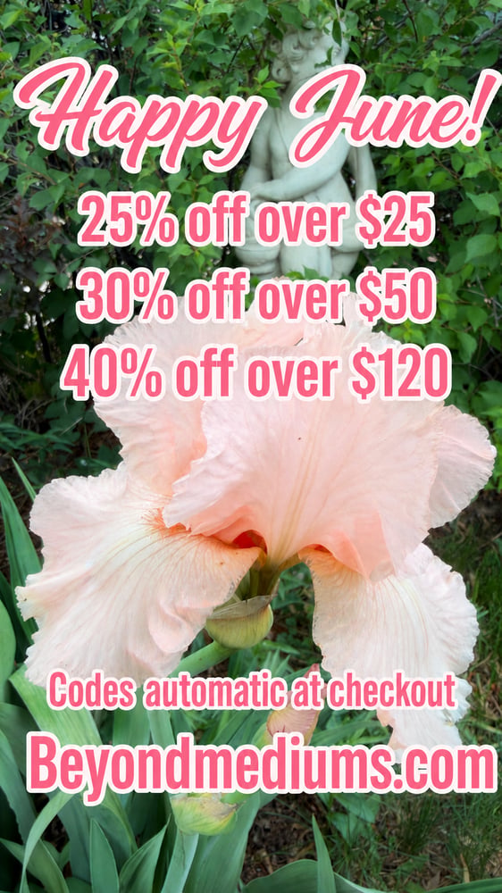 Image of Sale Codes & Shipping Times!