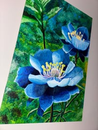 Image 2 of The Colorado Blue Columbine