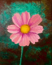 Image 1 of Cosmos Bipinnatous Flower