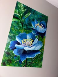 Image 3 of The Colorado Blue Columbine