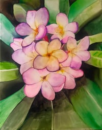 Image 1 of For the Love of the Plumeria