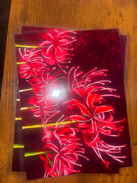 Image 4 of Prints - Red Spider Lilies