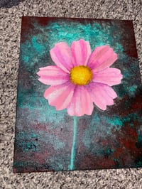 Image 2 of Cosmos Bipinnatous Flower