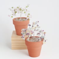 Image 1 of Crystal Tree Making Workshop
