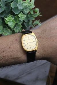 Image 2 of 1980 Omega De Ville Ellipse 111.0131 - Original Papers - Cal. 625