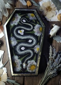 Image 2 of Snake Skeleton and Floral Wall Coffin