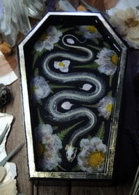 Image 3 of Snake Skeleton and Floral Wall Coffin